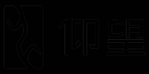 Yangwang logo
