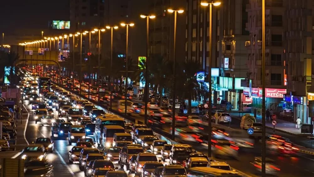 How Do I Check My Black Points in the UAE?